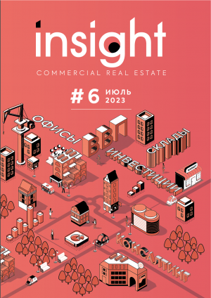 Insight # 6 (2023)